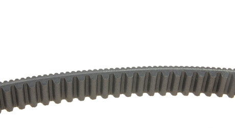 Фото 3 - Автозапчасть DAYCO XTX2239