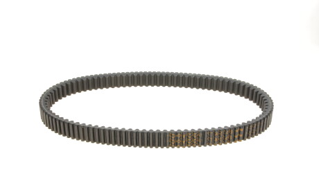 Фото 2 - Автозапчасть DAYCO XTX2248