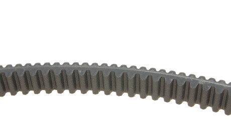 Фото 3 - Автозапчасть DAYCO XTX2248