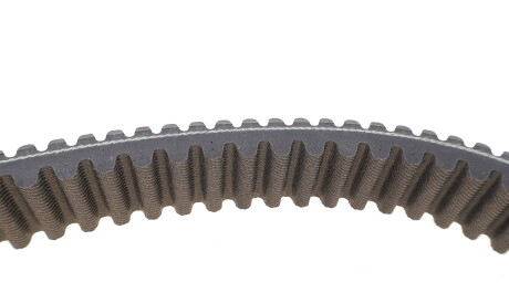 Фото 3 - Автозапчасть DAYCO XTX2261