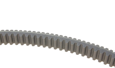 Фото 3 - Автозапчастина DAYCO XTX2275