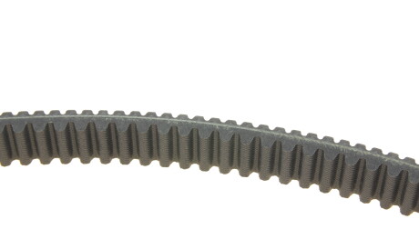 Фото 3 - Автозапчасть DAYCO XTX2279