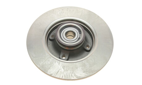 Фото 3 - Гальмівний диск Delphi BG9021RS