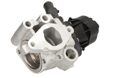 Zawor egr - Delphi EG10482-12B1