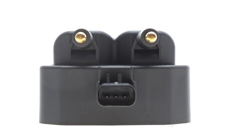 Фото 3 - Катушка зажигания Delphi GN10142-12B1 (GN1014212B1)