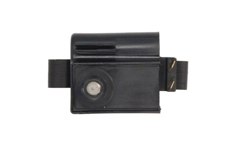 Фото 2 - Катушка зажигания Delphi GN10171-12B1 (GN1017112B1)