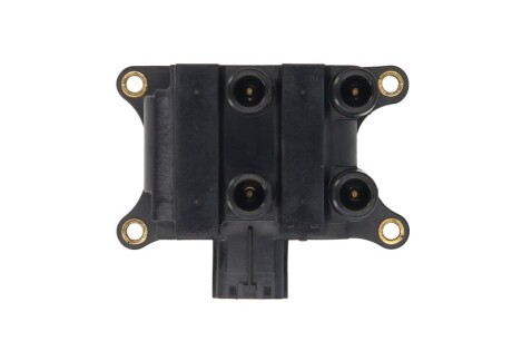 Фото 2 - Котушка запалювання Delphi GN10832-12B1