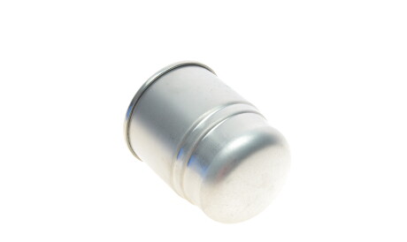 Фото 2 - Паливний фільтр Delphi HDF563