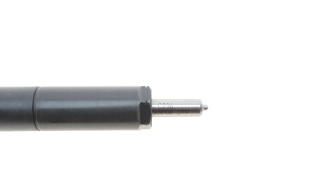 Фото 3 - Форсунка паливна Delphi R04201D-12B1 (R04201D12B1)