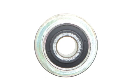 Фото 3 - Ресора Delphi TD1031W