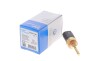 Датчик температуры ОЖ Delphi TS10064-11B1 (TS1006411B1) - фото 2
