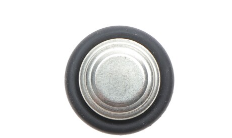 Фото 3 - Датчик температуры ОЖ Delphi TS10275