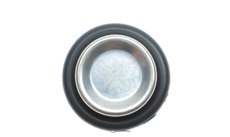 Фото 3 - Датчик температуры ОЖ Delphi TS10280