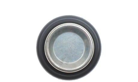 Фото 3 - Датчик температури ОР Delphi TS10281