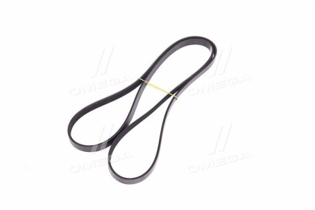 Фото 4 - Ремень приводной Denckermann 5PK1815