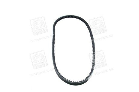 Фото 2 - Ремінь приводний Dongil 13X1000