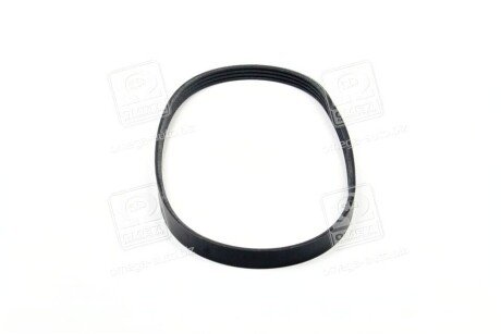 Фото 2 - Ремень приводной Dongil 4PK800