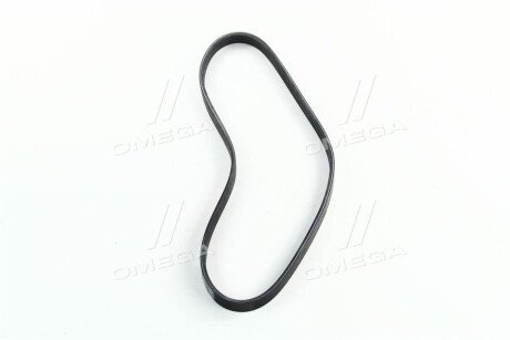 Фото 2 - Ремень приводной Dongil 4PK810