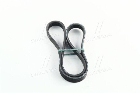 Фото 4 - Ремень приводной Dongil 4PK812