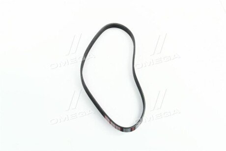 Фото 2 - Ремень приводной Dongil 4PK820