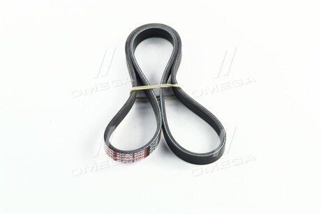 Фото 2 - Ремень приводной Dongil 4PK885