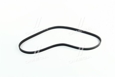 Фото 3 - Ремень приводной Dongil 4PK895