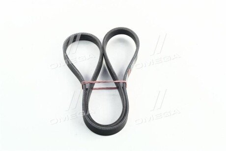 Фото 4 - Ремень приводной Dongil 4PK920