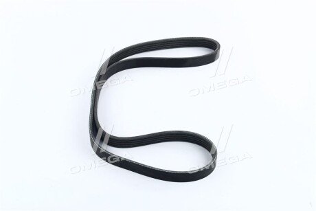 Фото 2 - Ремень приводной Dongil 5PK1130