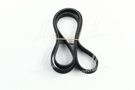 Фото 2 - Автозапчасть Dongil 5PK1815