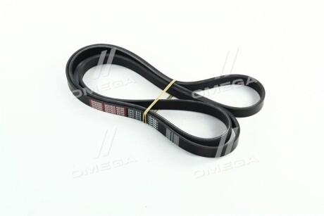 Ремінь поліклін. - Dongil 5PK1815