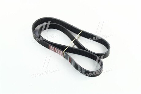 Ремінь поліклін. - Dongil 6PK1115
