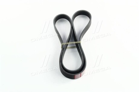 Фото 4 - Ремень приводной Dongil 6PK1230