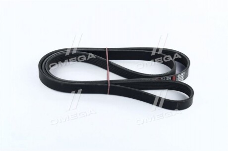 Ремінь поліклиновий - Dongil 6PK1800