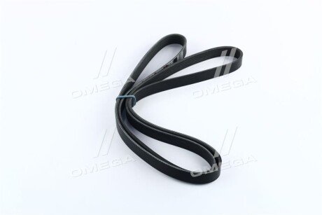 Фото 4 - Ремень приводной Dongil 6PK2010