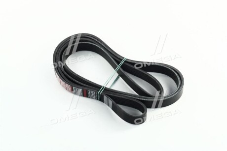 Поліклиновий ремінь - Dongil 6PK2390