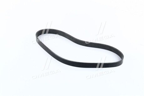 Ремінь поліклін. - Dongil 6PK800