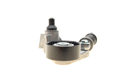 Фото 3 - Ролик ремня приводного DP Group ES 1281 (ES1281)