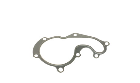 Прокладка помпи води Ford Connect 1.8TDCi 02- DP - DP Group ES 81513