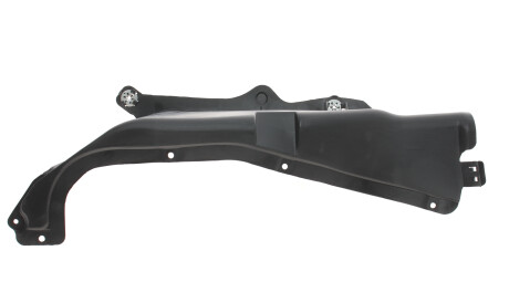 Фото 3 - Елемент кузова DPA 88250109802