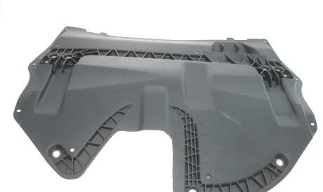 Фото 3 - Елемент кузова DPA 88251456902