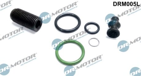 Ремонтний комплект, блок насос-форсунка - ((03G198051, 03G198051A)) DR.MOTOR DRM005L