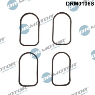 Комплект ущільнень, впускний колектор - DR.MOTOR DRM0106S