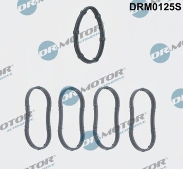 Комплект прокладок гумових - (4410362, 7701477215, 8200052311) DR.MOTOR DRM0125S