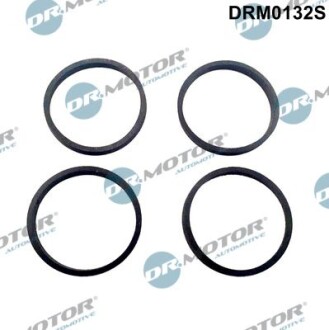 Комплект ущільнень, впускний колектор - DR.MOTOR DRM0132S
