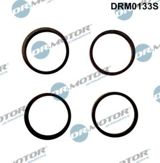 Комплект ущільнень, впускний колектор - DR.MOTOR DRM0133S
