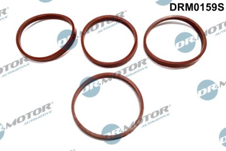 Комплект ущільнень, впускний колектор - DR.MOTOR DRM0159S