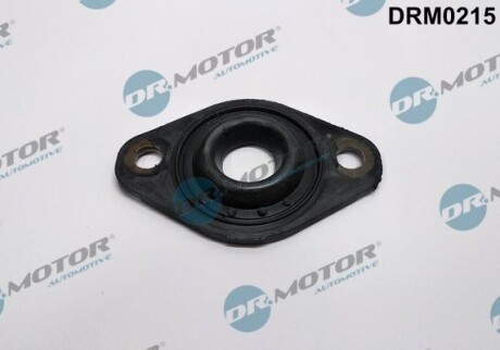 Ущільнення, корпус форсунки - (97185863, 607726, 12342PLZD00) DR.MOTOR DRM0215