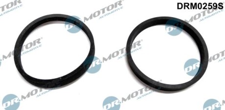 Комплект ущільнень, впускний колектор - DR.MOTOR DRM0259S