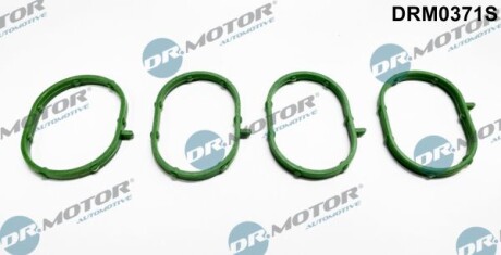 Комплект ущільнень, впускний колектор - DR.MOTOR DRM0371S