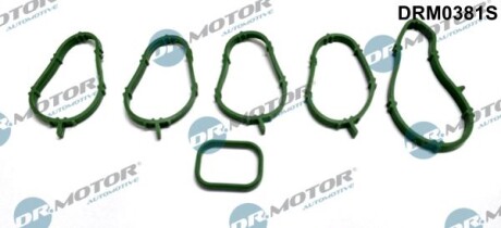 Комплект ущільнень, впускний колектор - DR.MOTOR DRM0381S